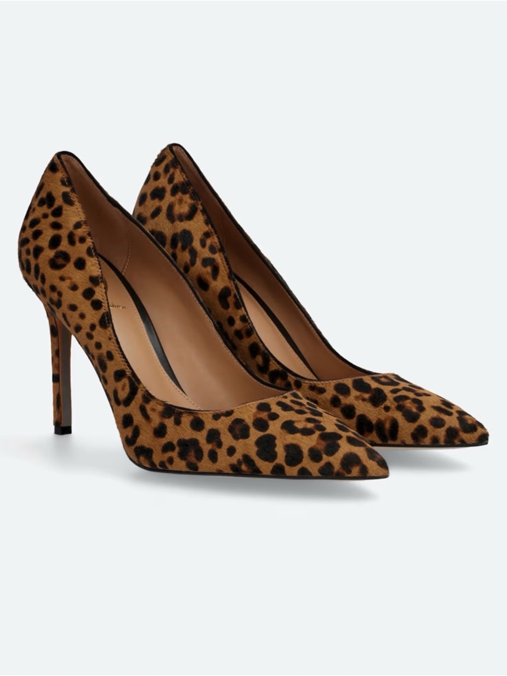 NWOB Sam Edelman Leopard Print Pointed Toe Stilettos - Brown/Black